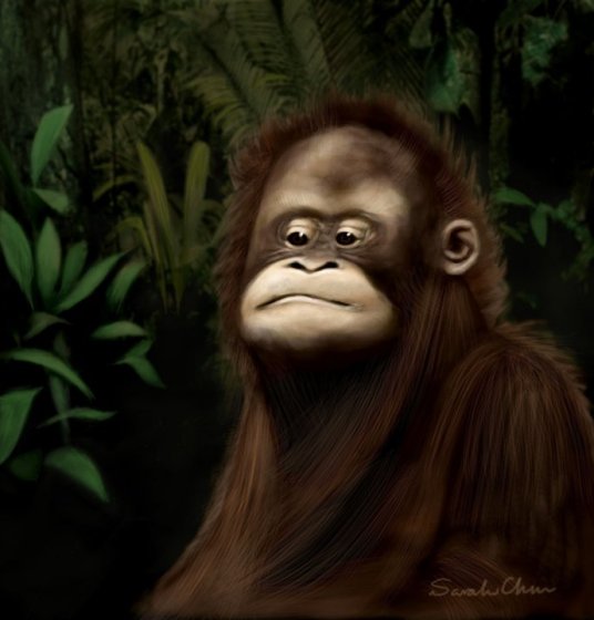 Gorilla Digital painting completed