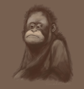 Gorilla Sketch Draft