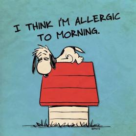 Allergic To Morning