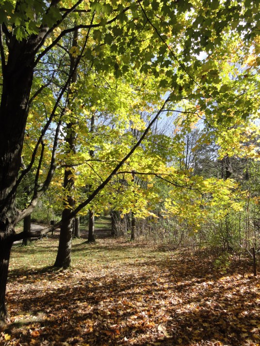 The McMichael Gallery