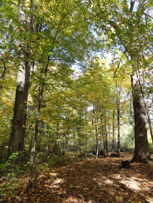 Kortright Centre for Conservation