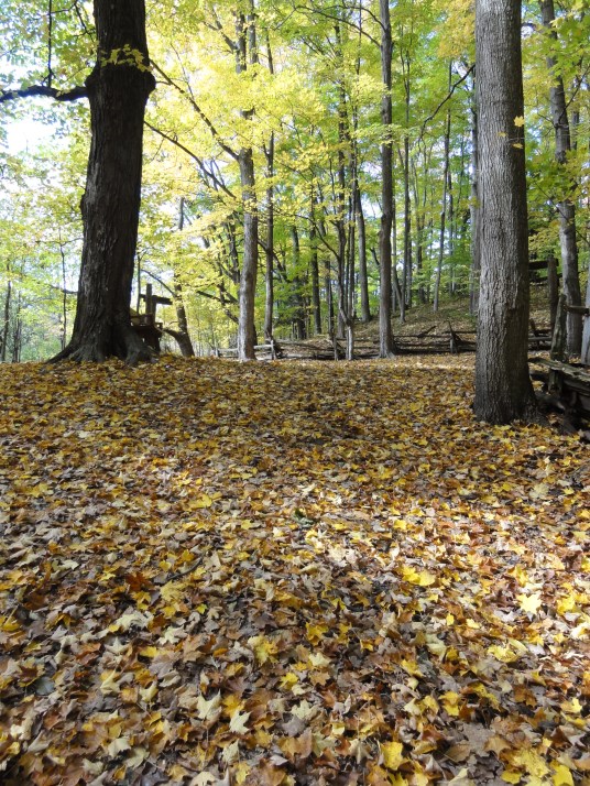 Kortright Centre for Conservation