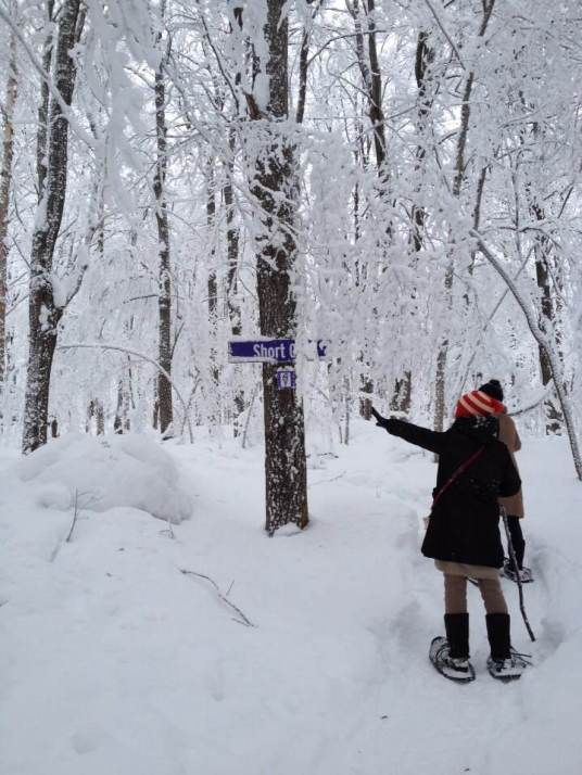 Blue Mountain, Ontario
