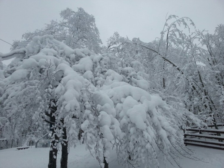 Blue Mountain, Ontario