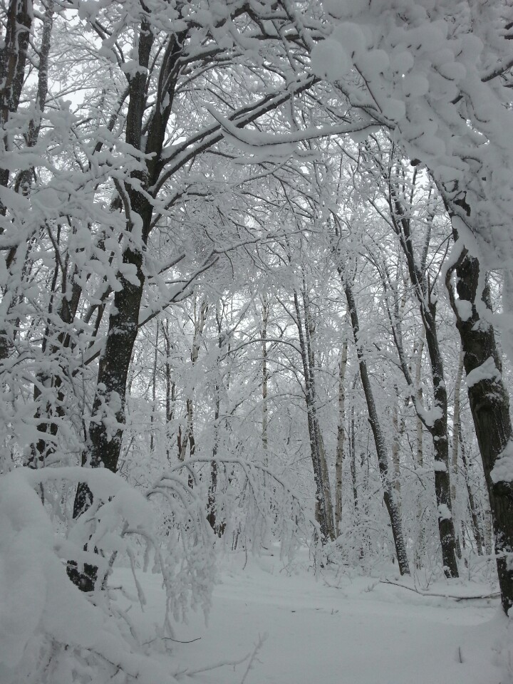 Blue Mountain, Ontario