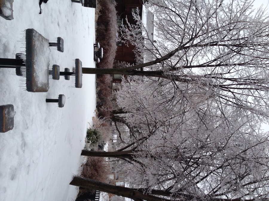 Toronto Ice Storm 2013