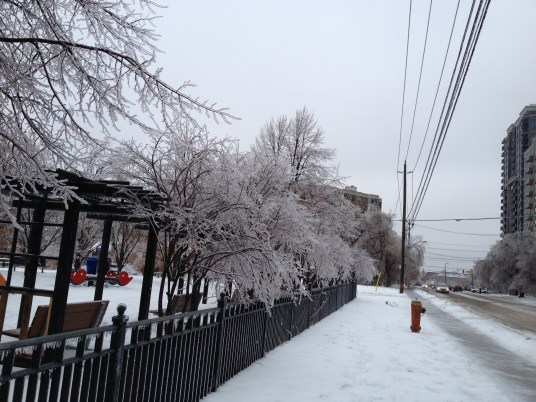 Toronto Ice Storm 2013