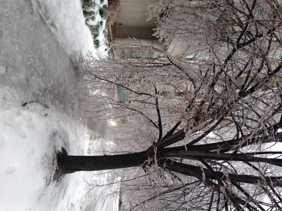 Toronto Ice Storm 2013