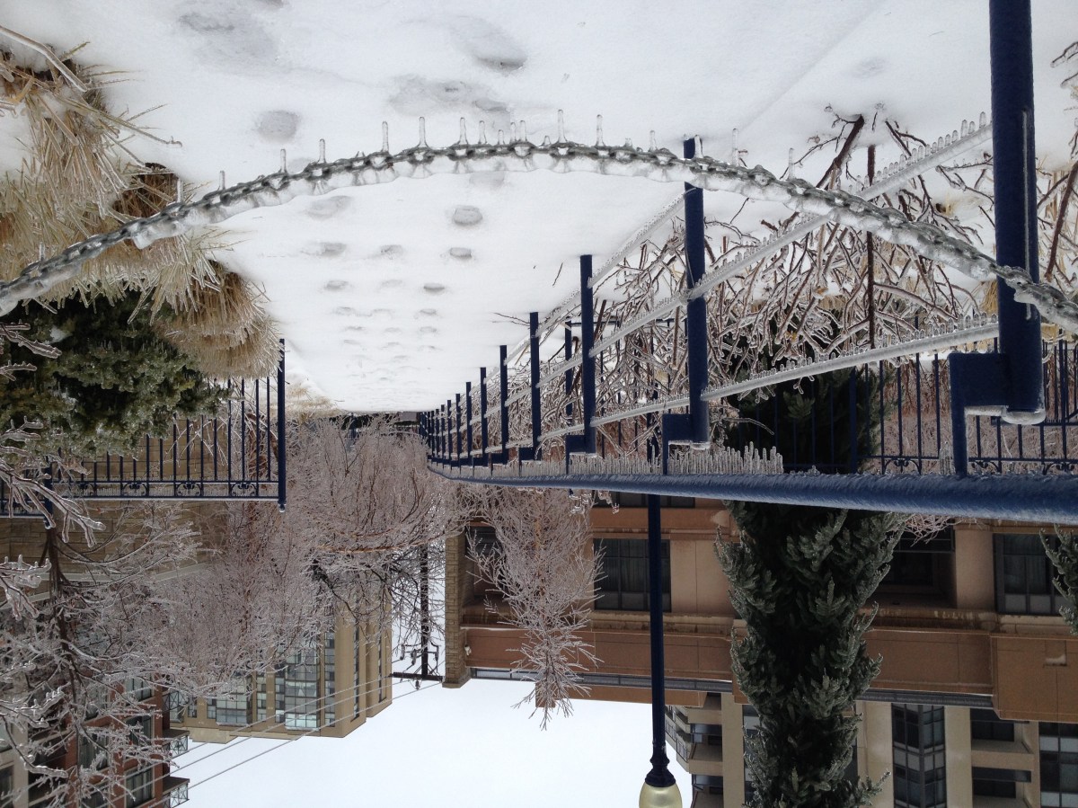 Toronto Ice Storm 2013