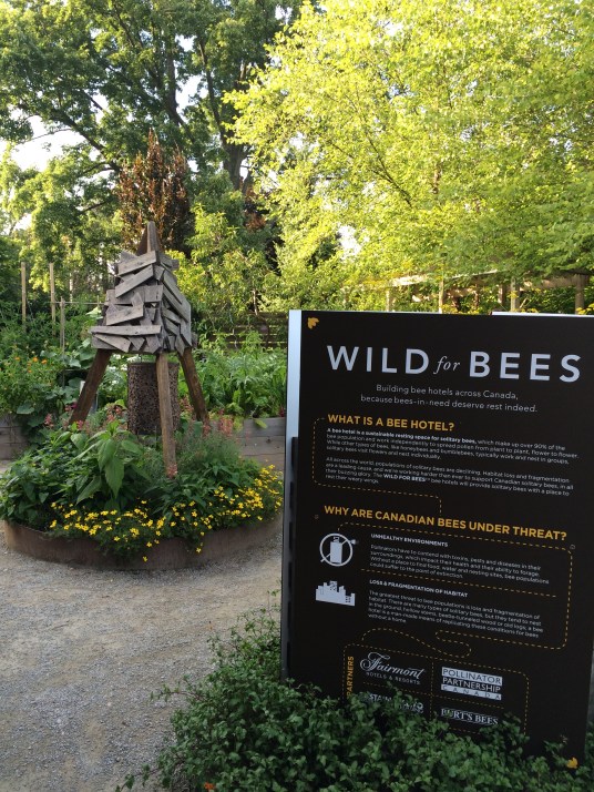 Edwards Gardens, Toronto