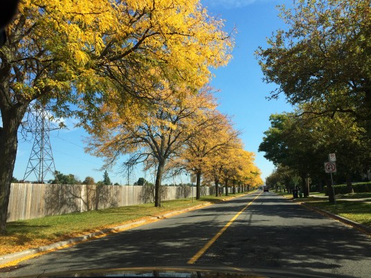 Fall colours, Canada