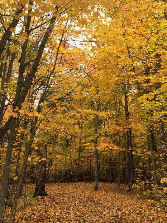  Kortright Centre for Conservation.
