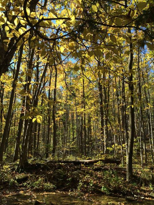 Terra Cotta Conservation Area, Ontario, Canada