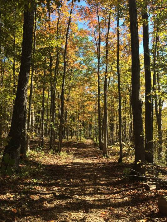 Terra Cotta Conservation Area, Ontario, Canada