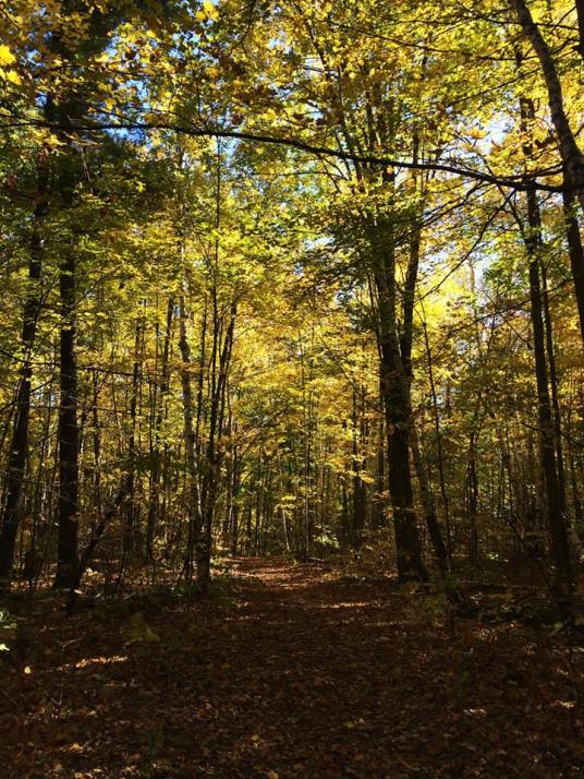 Terra Cotta Conservation Area, Ontario, Canada