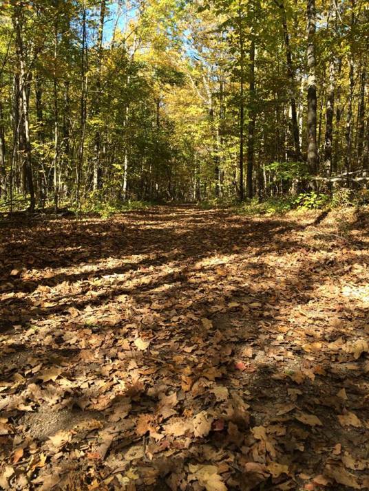 Terra Cotta Conservation Area, Ontario, Canada