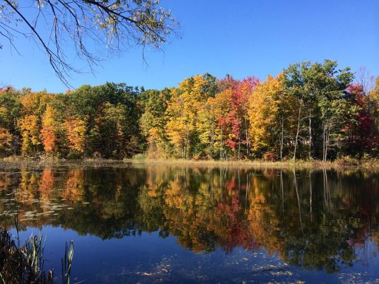 Terra Cotta Conservation Area, Ontario, Canada