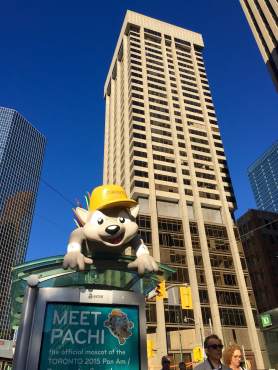 Pachi, Pan Am Toronto 2015