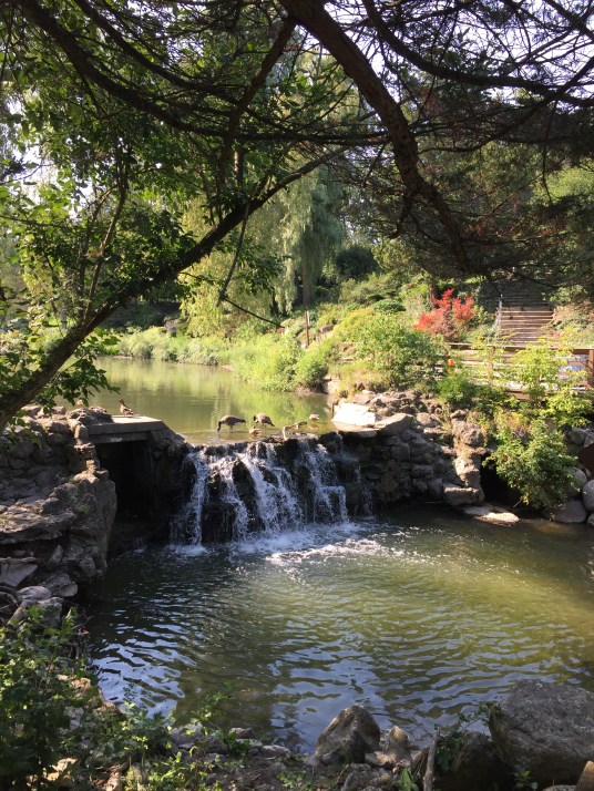 Edwards Garden, Toronto