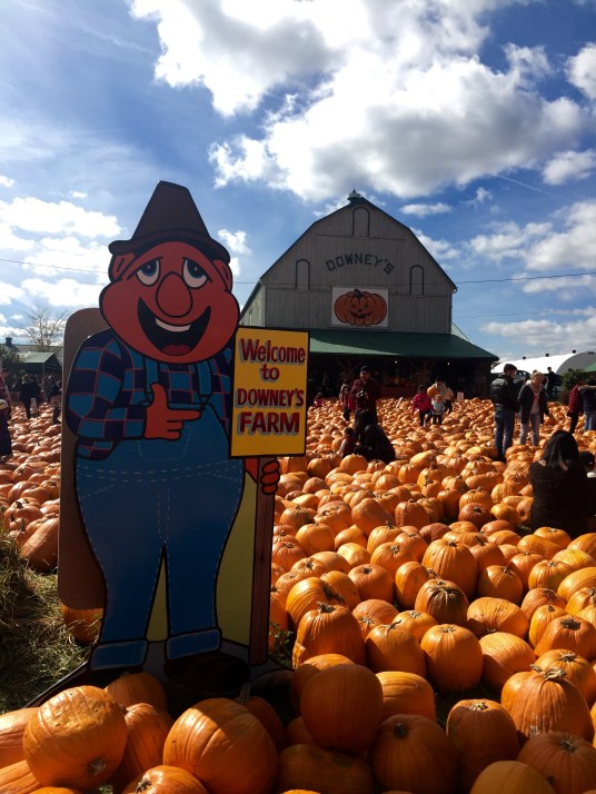 Pumpkins