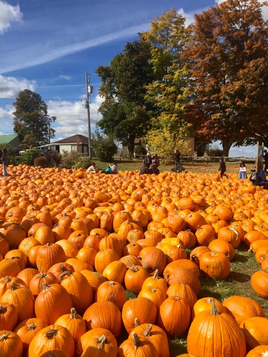 Pumpkins