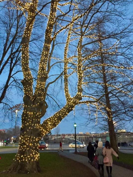 The Falls, Ontario, Canada