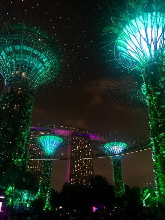 Supertree Grove, Gardens by the Bay in Singapore
